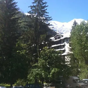 - Vue Mont Blanc Chamonix